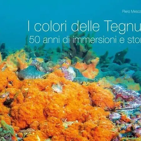 Su 2 Livelli Ingresso Indipendente *