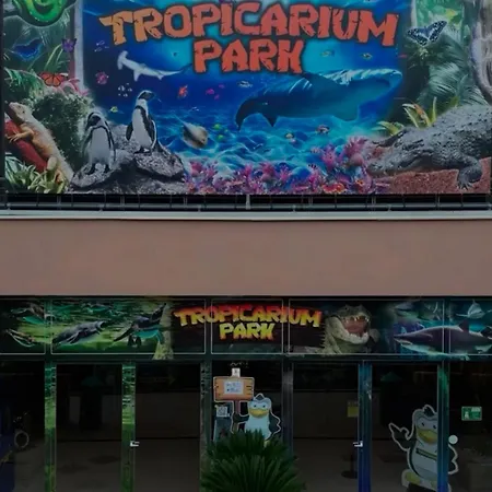 公寓 Su 2 Livelli Ingresso Indipendente 梅斯特雷