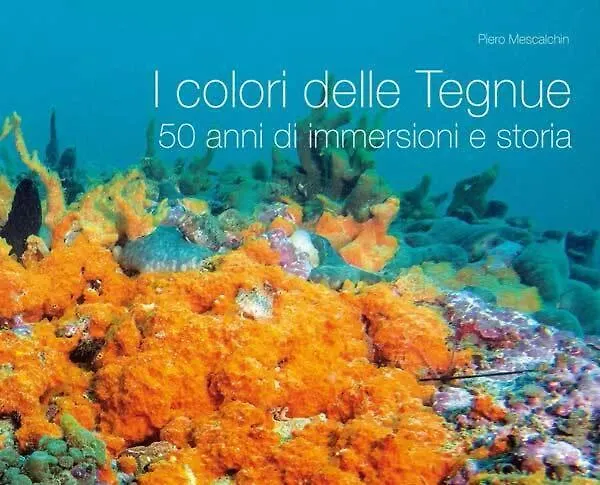 Su 2 Livelli Ingresso Indipendente *