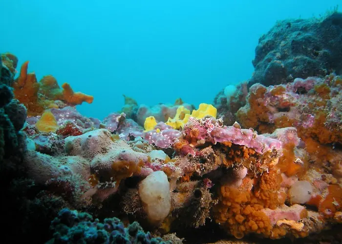 Su 2 Livelli Ingresso Indipendente Mestre