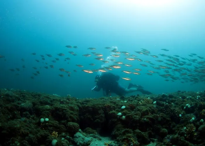 Daire Su 2 Livelli Ingresso Indipendente *