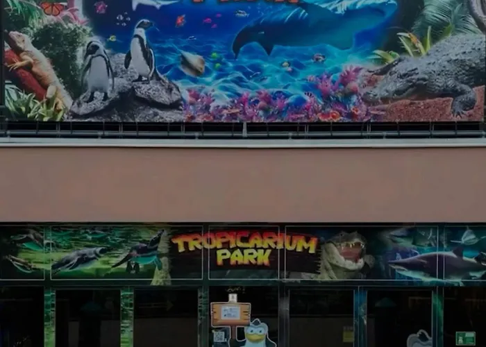 Daire Su 2 Livelli Ingresso Indipendente Mestre